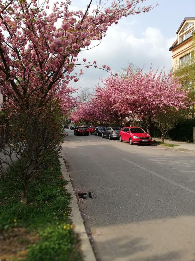 Irena'S Home Away From Home Zagreb Ngoại thất bức ảnh